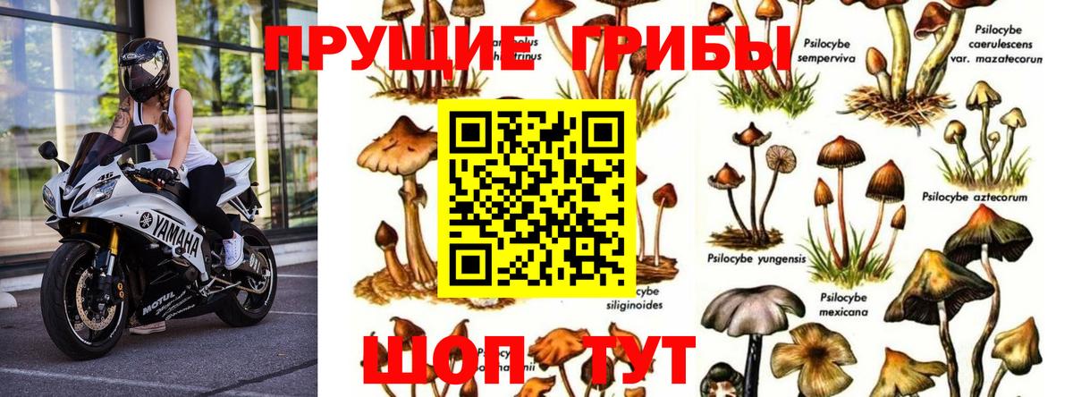 Галлюциногенные грибы Cubensis  Галлюциногенные грибы GOLDEN TEACHER  Вход с VPN  Печора 