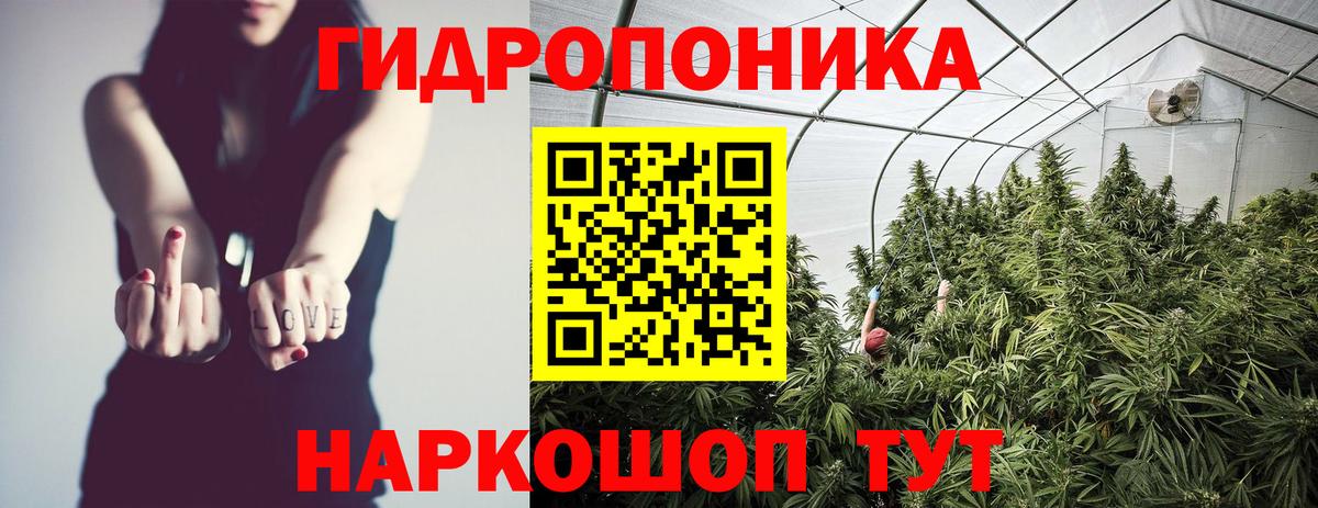 Шишки марихуана Amnesia Печора
